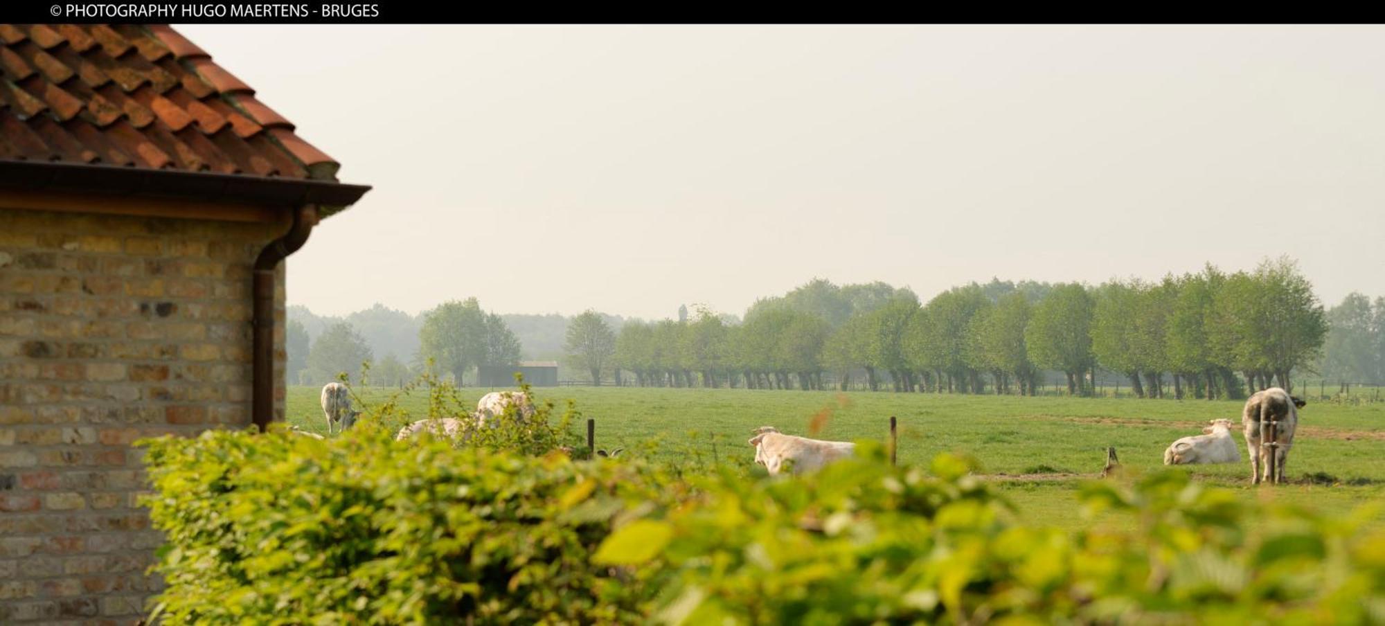 Domein Het Weiland Damme Bagian luar foto