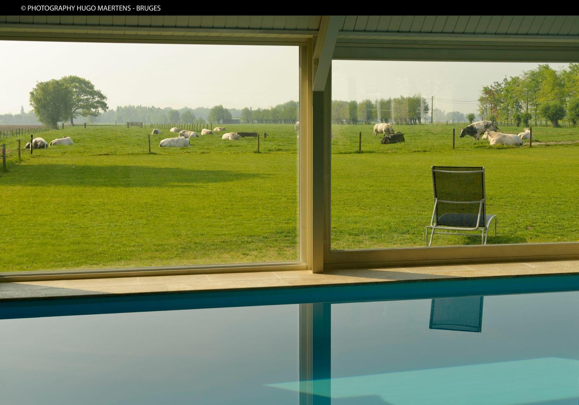 Domein Het Weiland Damme Bagian luar foto