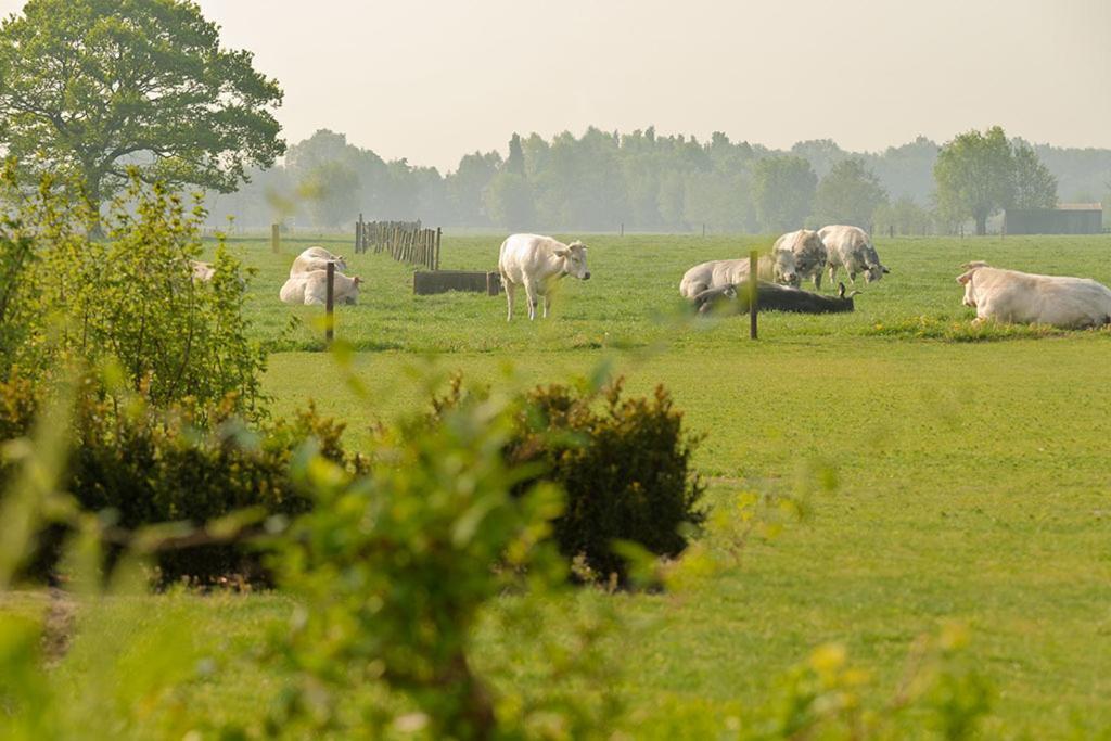 Domein Het Weiland Damme Bagian luar foto