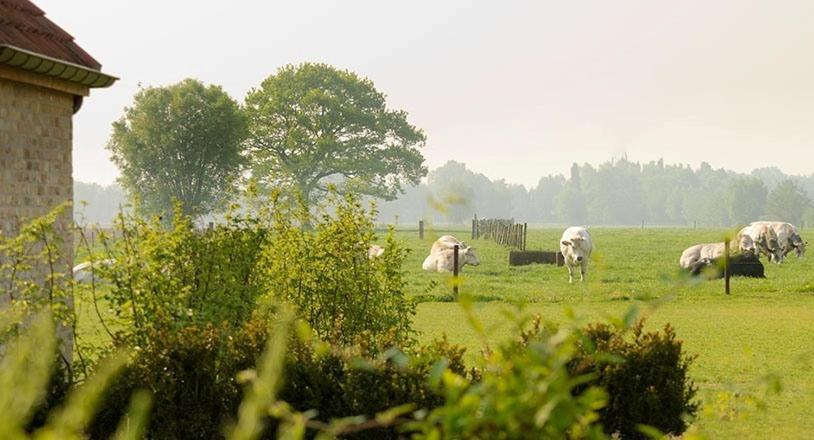 Domein Het Weiland Damme Bagian luar foto